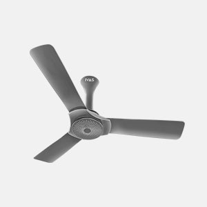 fans-2